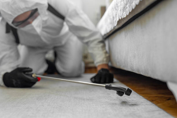 Professional Bed Bug Control technician working in Berea, OH
